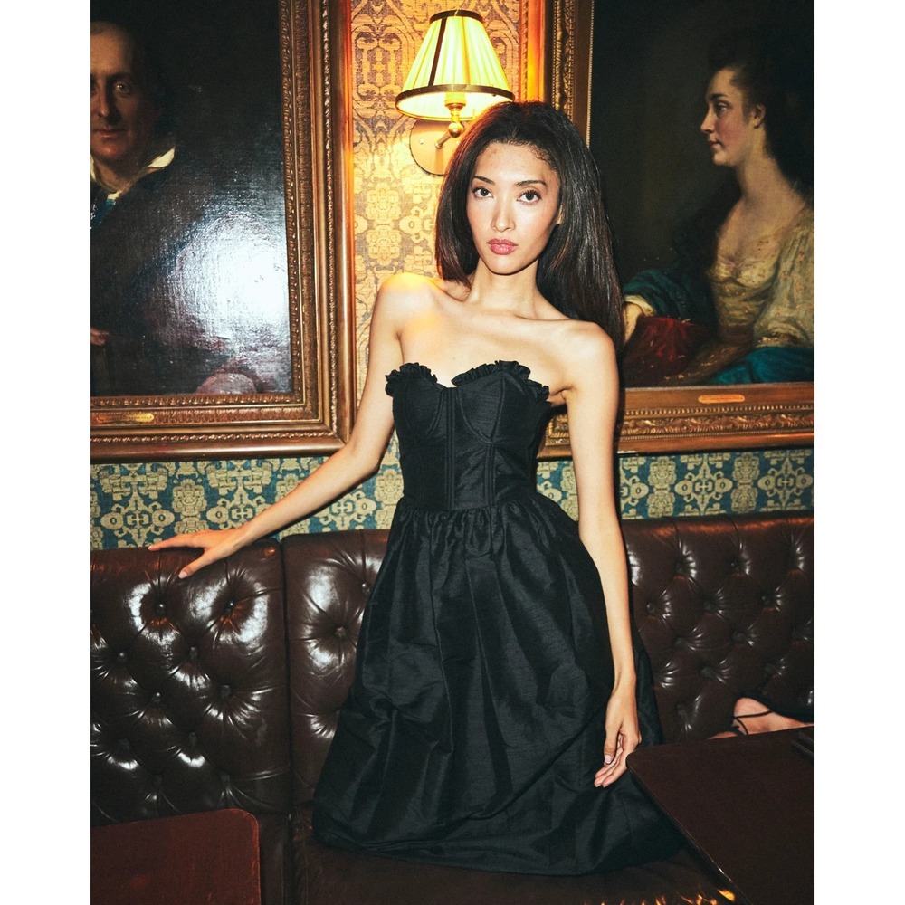 New NWT Louise Dress Charlotte Midi‎ Bustier Gown